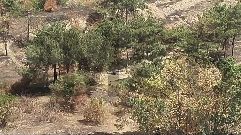 ��������� ����������� ��������� ������� ������ ��� ������� �� �������