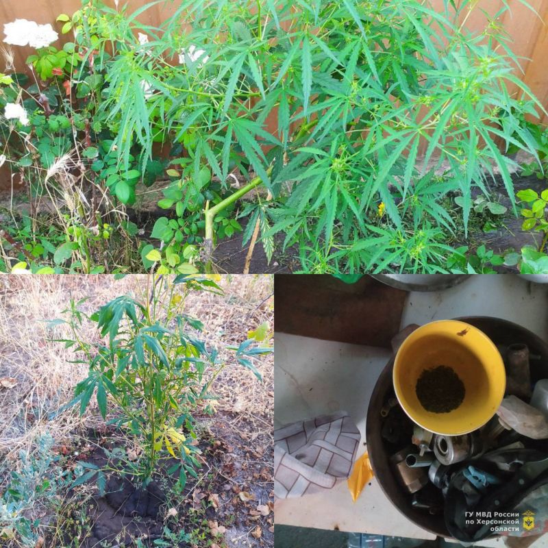 ������ ��������������� ������ �������� ����� 20 ������ ������� � ����� �������� ������ � ����������� ���������� ����