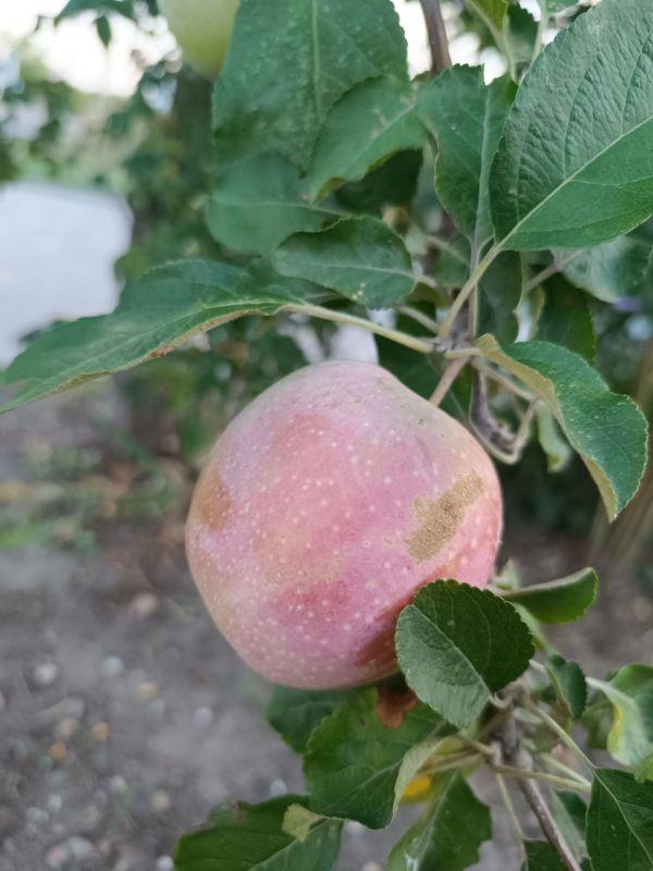 � ������ �����, �����������!