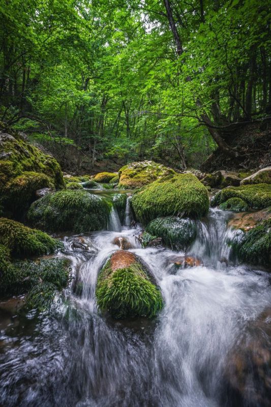 ������� ������ ����� - ����� �������� ������ �����������