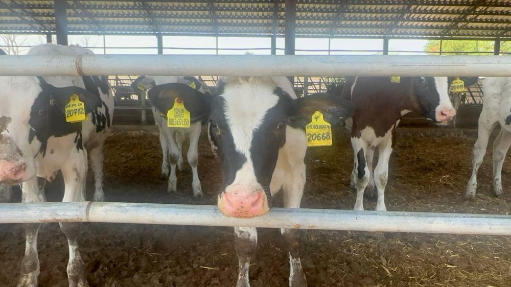 ������������������ ���������� ������� ���������� ������������ ������