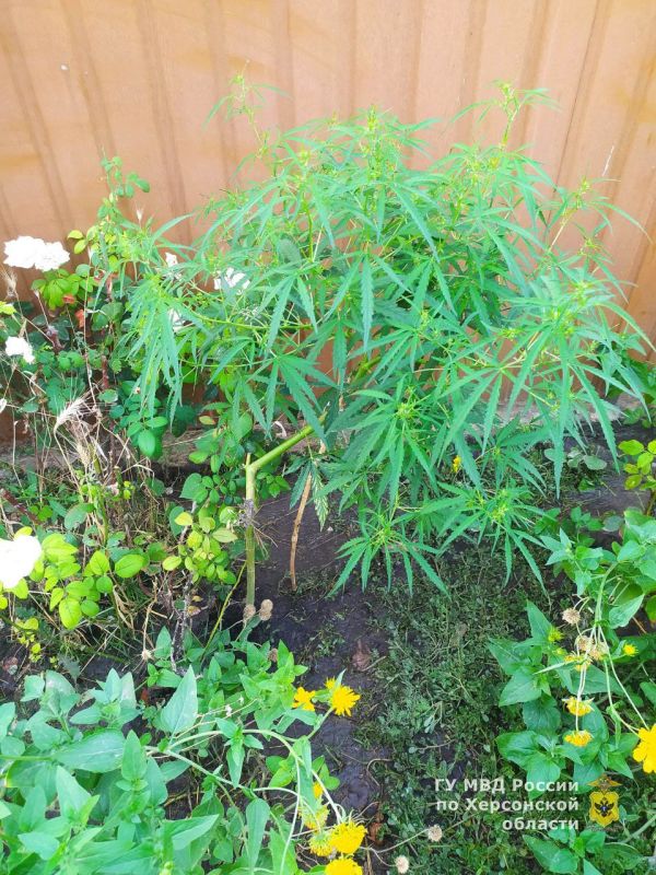 � �������������� ������ ���������� ������� ���������� ������� ������� ���� ����������� ��������������� �������