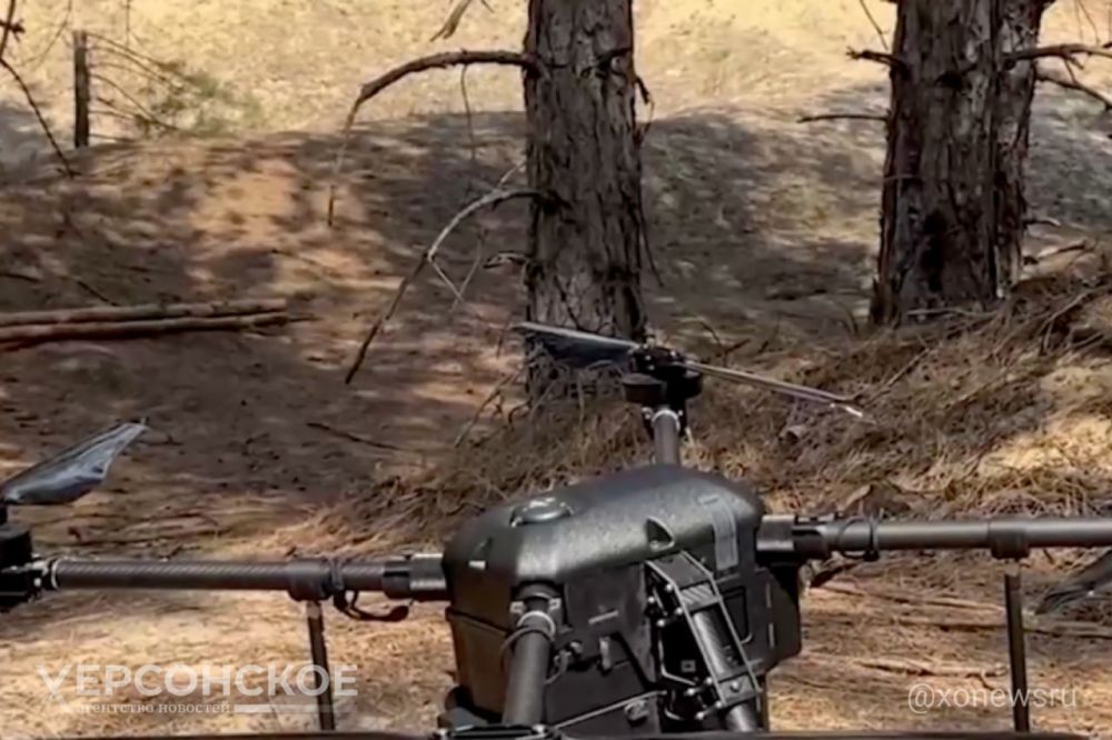 ���������, �� � �������. �� �� ���������� � ���������� ������ ����� �� ���������� �����������