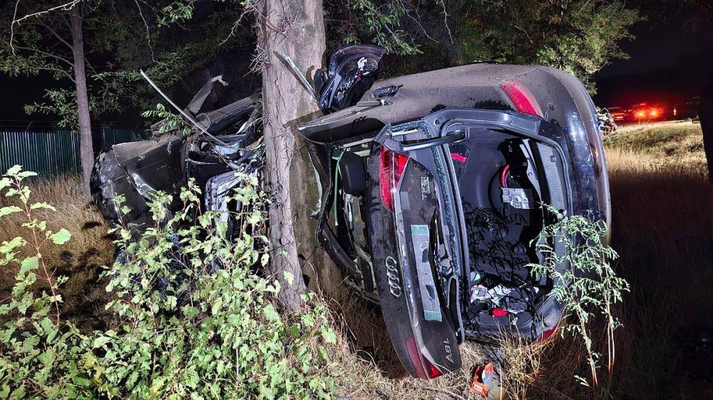 ��������, ����������� ��� � ����� ��������� ��� ������������, ����� �������� �� 15 ���