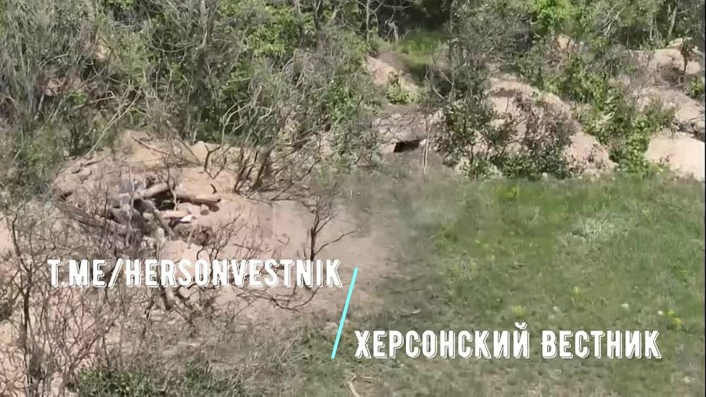 ���������� �����������. ����� � ����� � ���� ����� �� 49 ����� �������� ���������� ������� ���������� �� ������������ ���������� �������