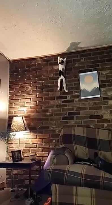 ��������� ����!. ��������-����� ���������� �������