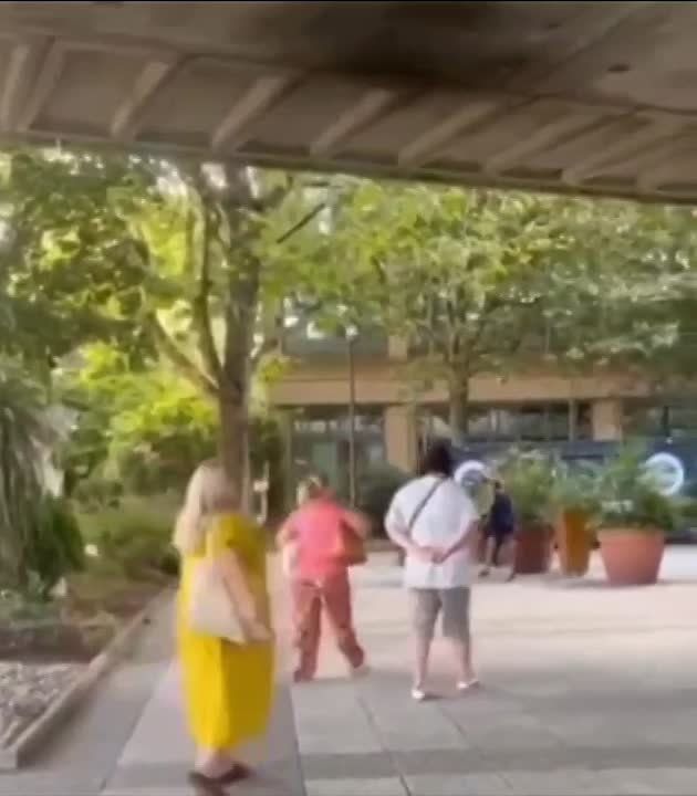 �������. ������� ���� ��������, �� � ������ ��������������