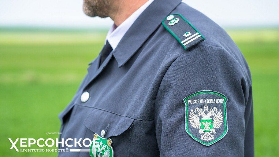 �����-������������ ���������� ����������������� ����� ��������������� � ����� � ����������