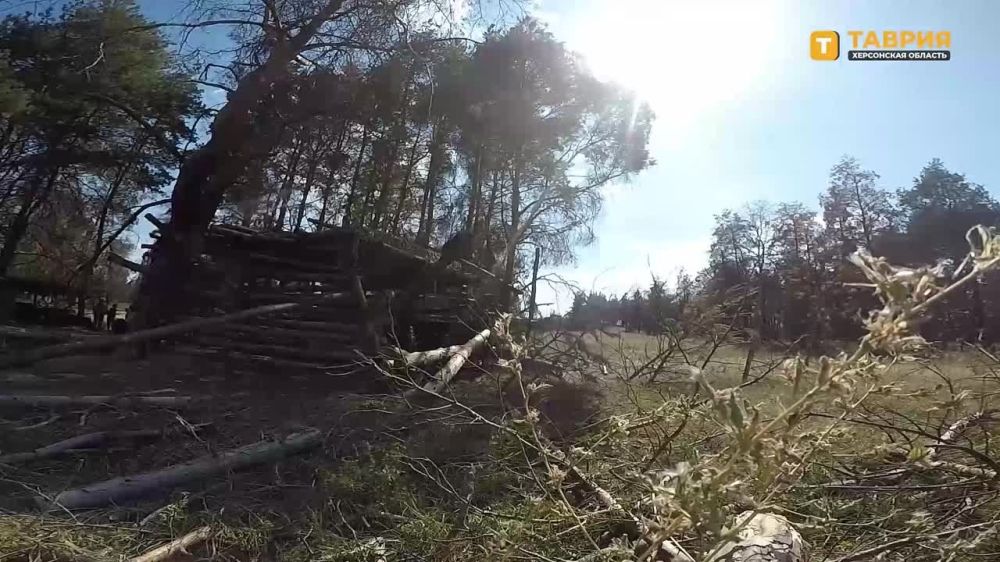 ������������ �� ������� ����������� ����� "�����" ���������� ����� ���������� ���� ��� �� ���������� �����������