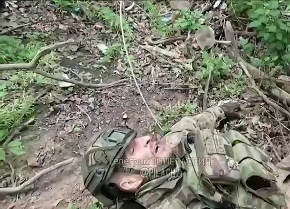 ��������� ������ �� ��������� �� ���� �������, 30 �������: