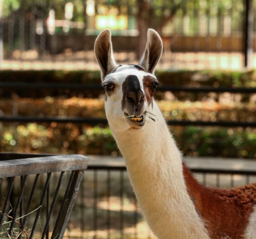 ����� ����������: ������ ����, ������!. ��������� �������� ��� ������� ������ ������������� ����������� "�������-����"! ���� ������ �������