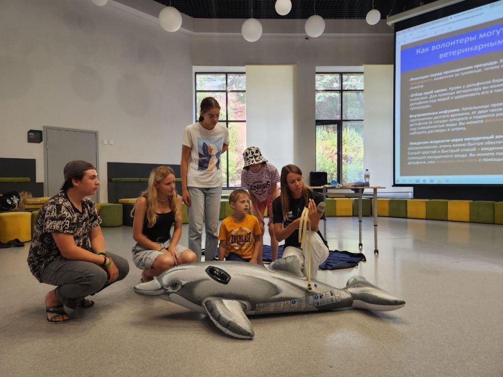 ��������� ���������� ������ � ��������� ׸����� ���� � �����