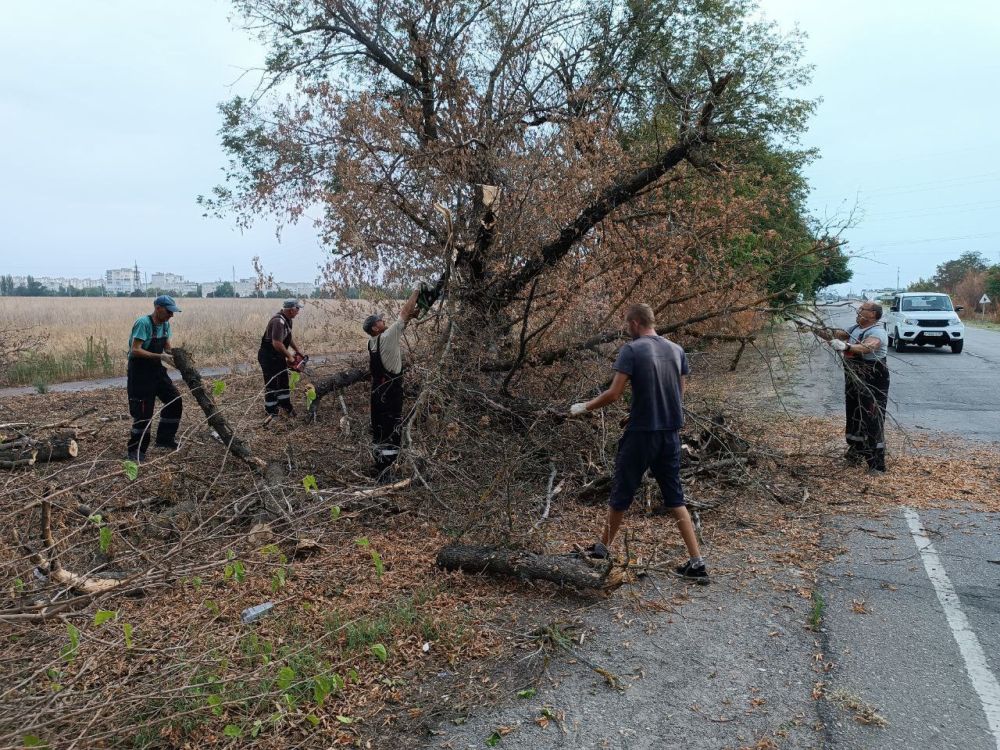 ������������� ������������� ����� ������ �� ������ ����� ����� ����� � �������� ��������� ������� ������������ ��������