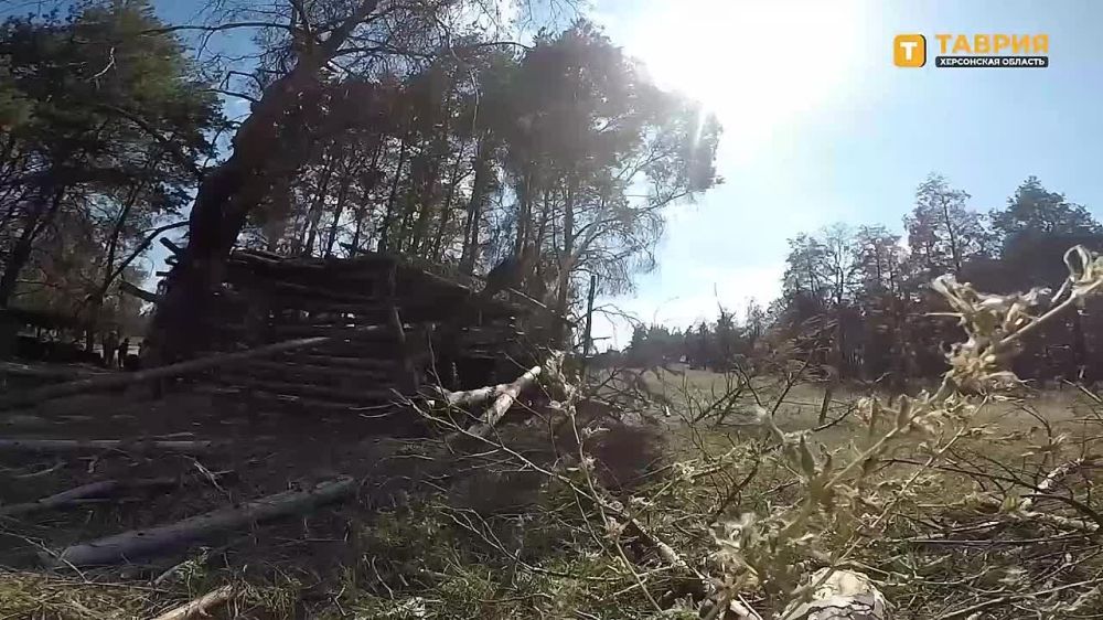 ���������� ������������ ���������� ����� ���������� ���� ��� �� ���������� �����������