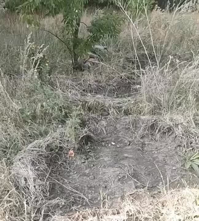 ���� ���������� �������� ���� �������� ������� ������� ���������� ������������ ��� �� 22 �������