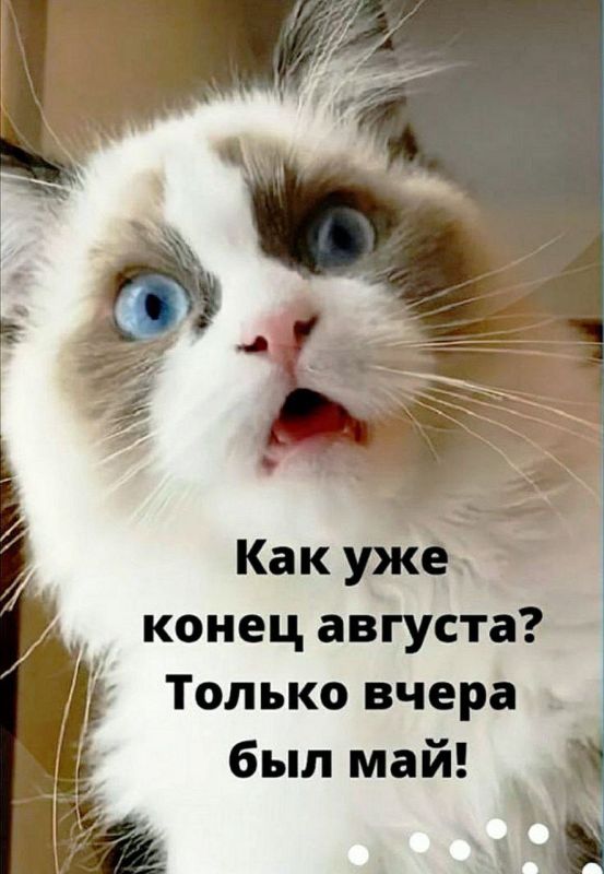 ��������� 31 �������. ���� ������������� ���������