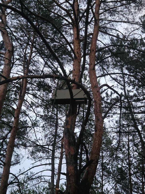 Рамиль Замалетдинов: Люблю париться в нашей русской бане, но парился под защитой системы РЭБ впервые