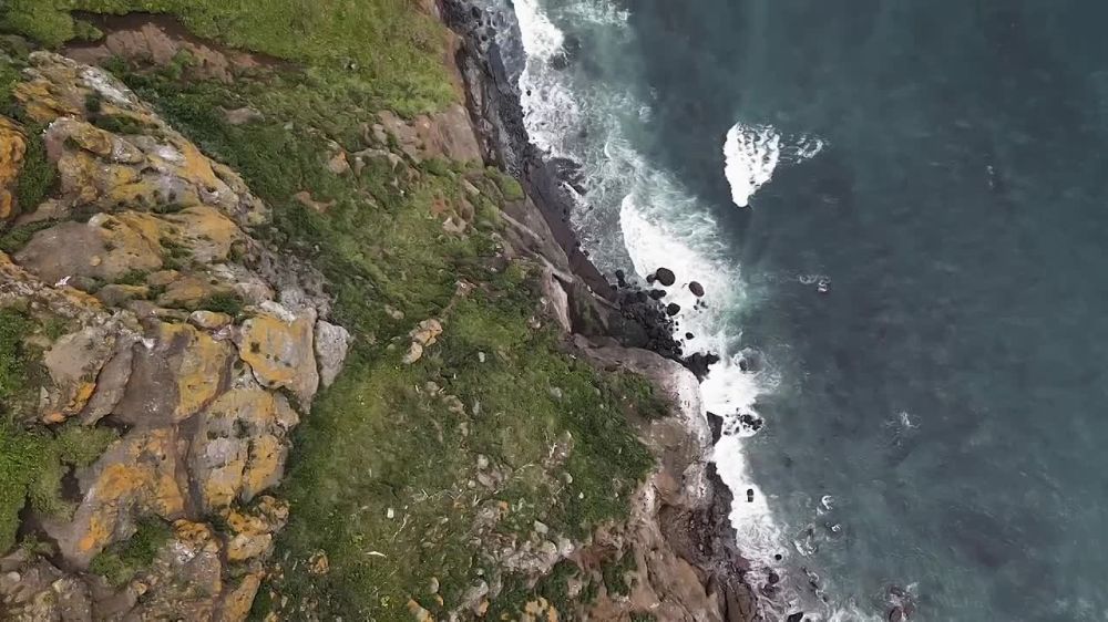 ������� ������� ���� ���� ��� ���� �� ����� ������������ ����� � ���������� ���, ��� �������� ����� ������