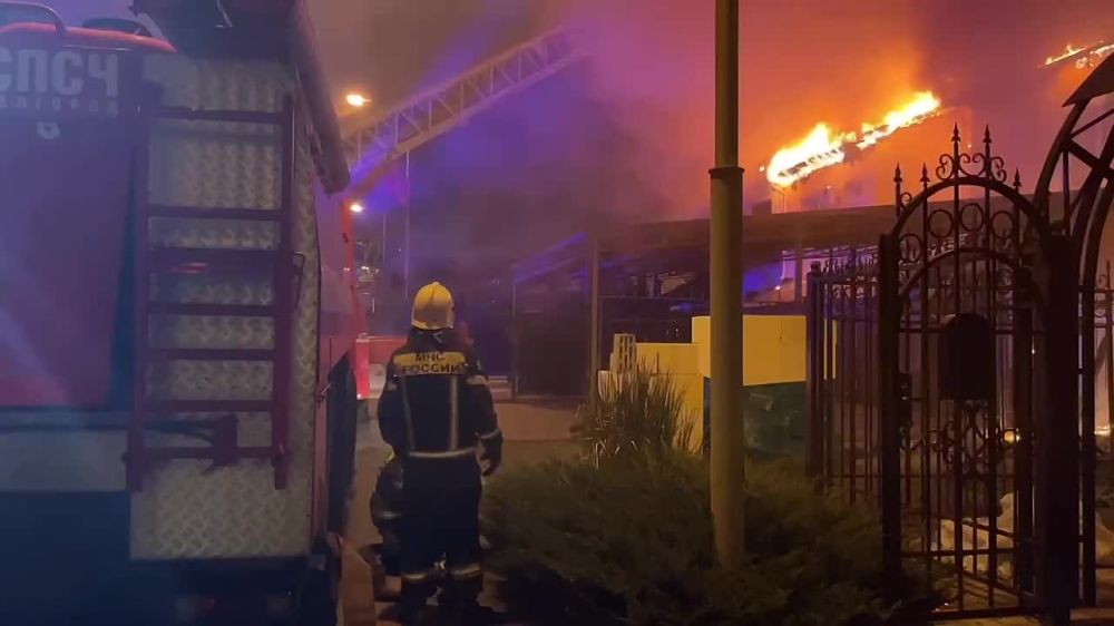 �������� � ���������. ������ ��������, ������� ������������. ���������� �������� ����� ������ �� ����� ��������� ���������� ������������ �� ������� ���� Vampire