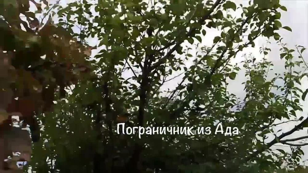 ������� �������� �� ���������� � ������ �.� �������� ����������� �������