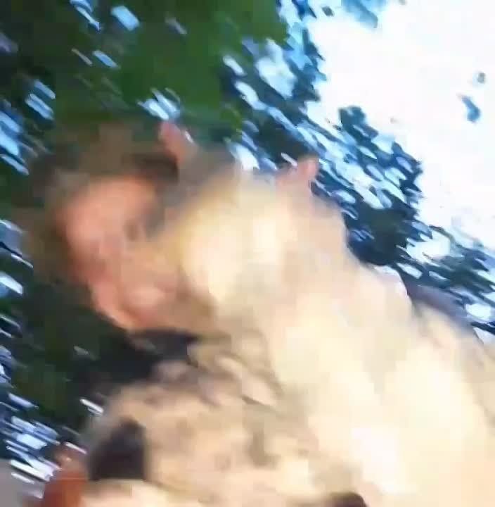 ���� ����� ����� � ���� �������