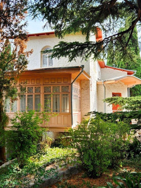 ���-����� ������ ������. ����