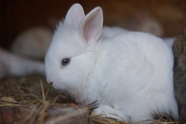 ���� � ������� ���������� ������� ������� ���������� ��� ���������� 1 ��������