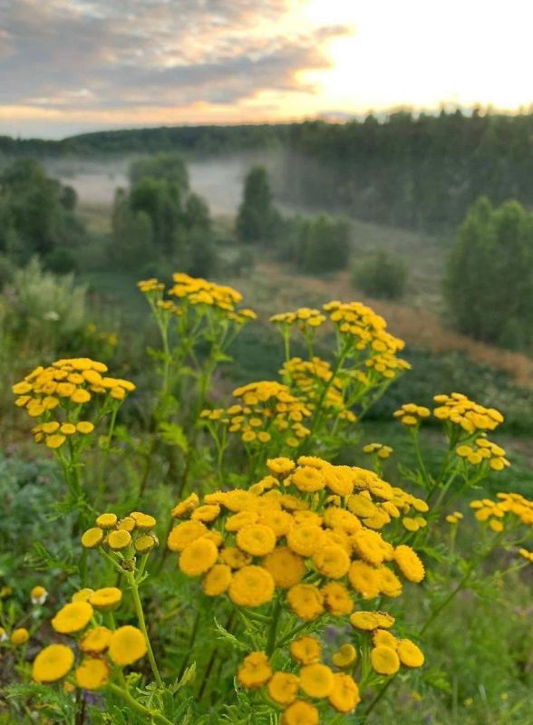 � ������ �����, �����������!