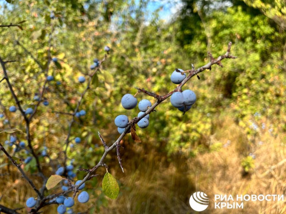 ������ �� ����� ����������� ������