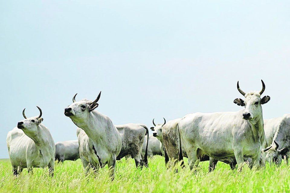 � ���������� ������� ������ ��������� �������� �������� �����