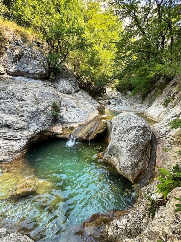 ��������� ����� ��� �������� � ������ ������� ����