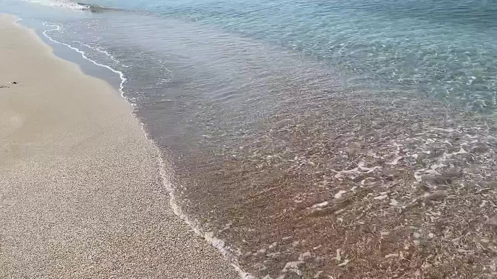 ���� ������, �� �����!. ������V