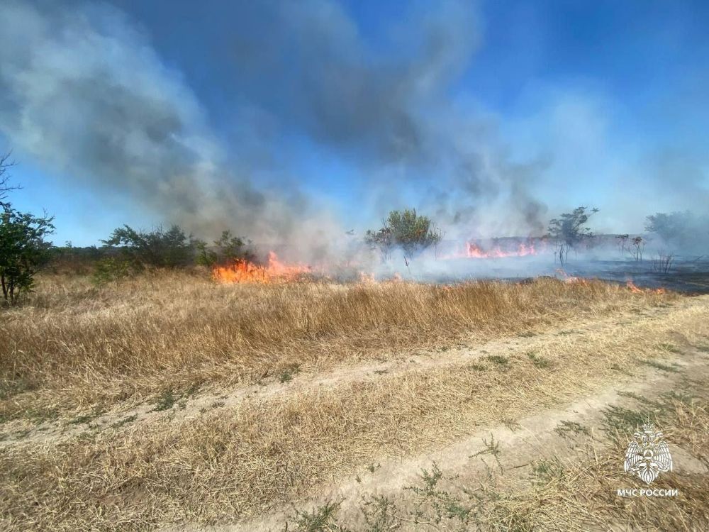 ����������� ���������� �� 31 ������� �� ���������� ���������� �������