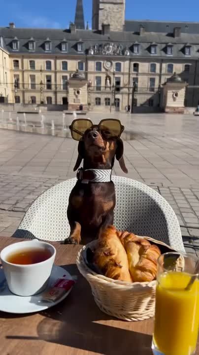 ������ ��������� ���� �������� ������ ���