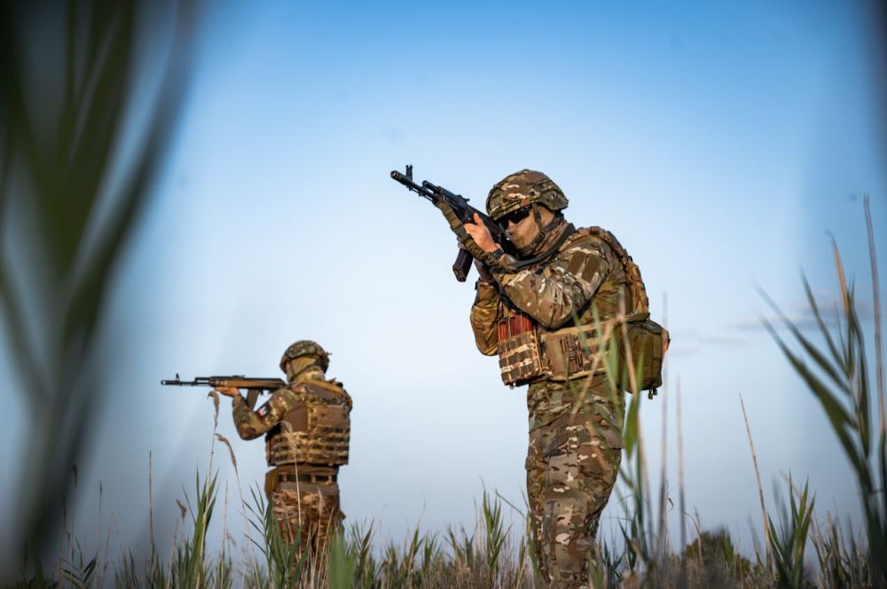 �������� ������: ���������� �����������, ������ �� ������