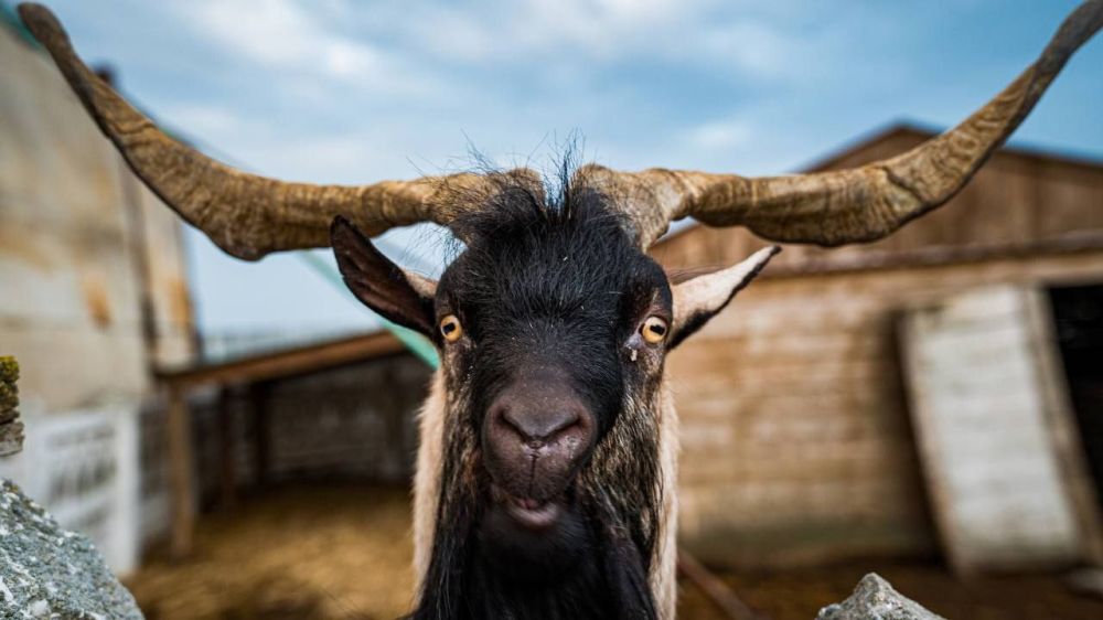 ���������� ���������� �������� ������ �������������� �������� ����� ������ �� ���������� �������