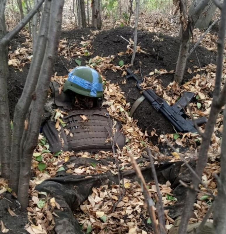 � ��� ���� �����. ��������-����� ���������� �������