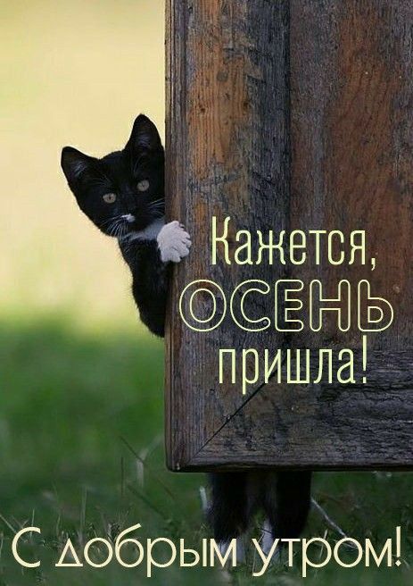 ��������� 1 ��������