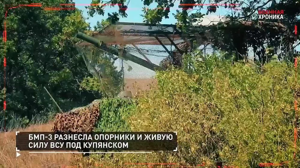 ����� �������� ��������� �� 31 �������