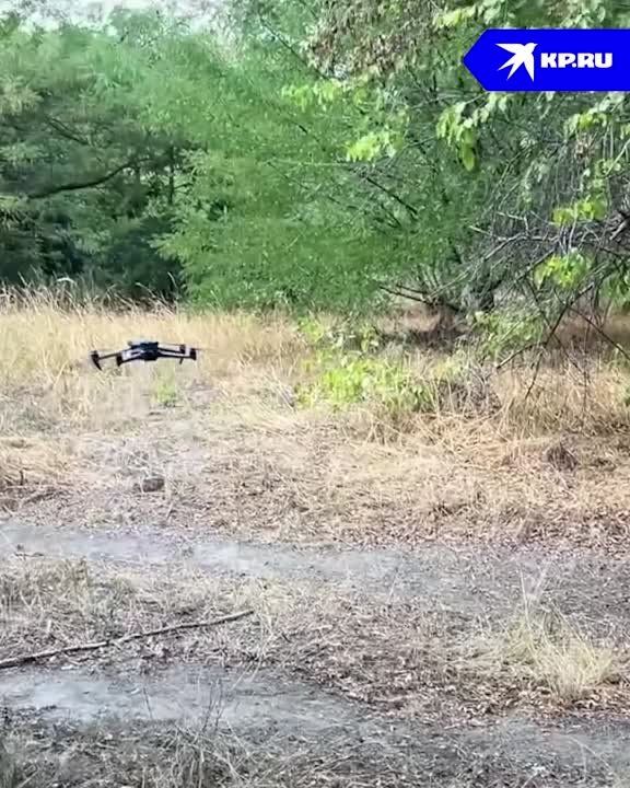 ���� ����� �� �����: �������� ������ ������� ������ ���������� ������ �� ���������� �����������