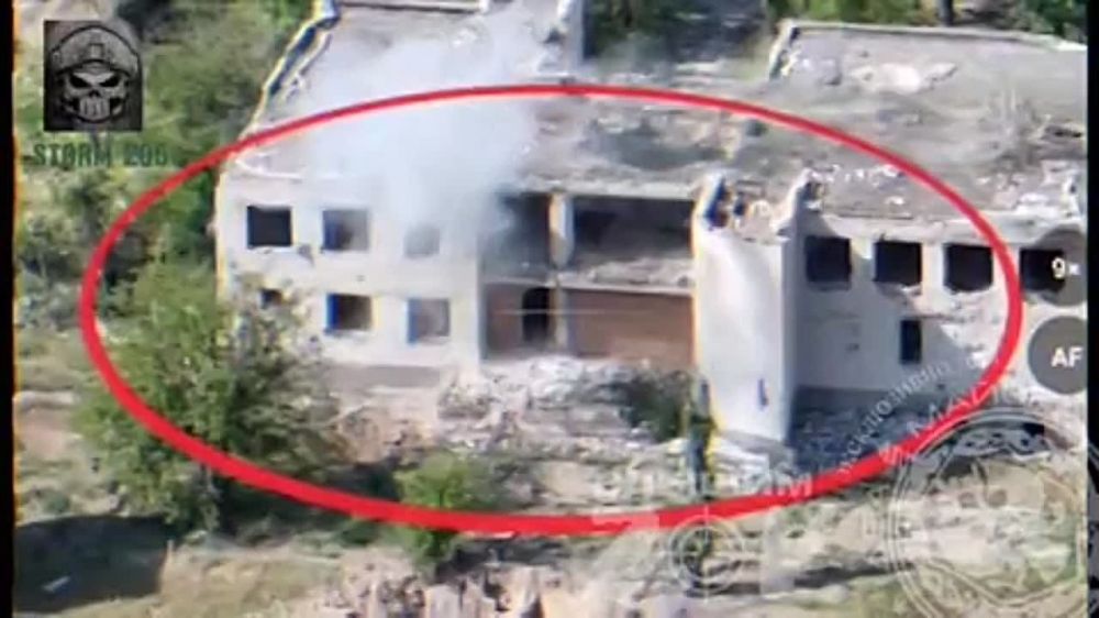 ��� ������: ���������� �����������, ����� 205 �������