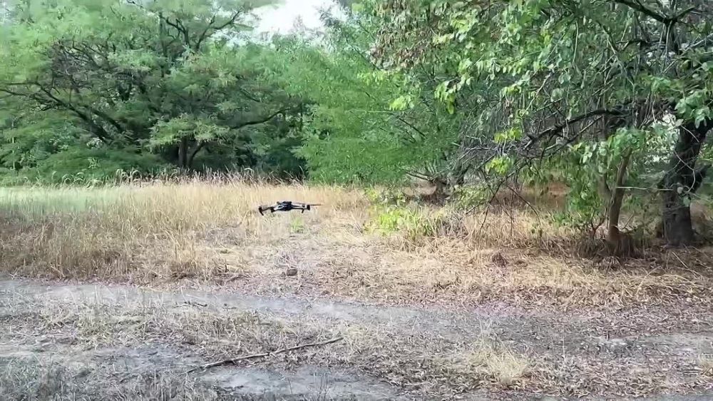 ��������� ������ ���������� ��� ������ ���������� ������������� �������� ��� � ����� ����������� ���������� �� ������ ������ ������