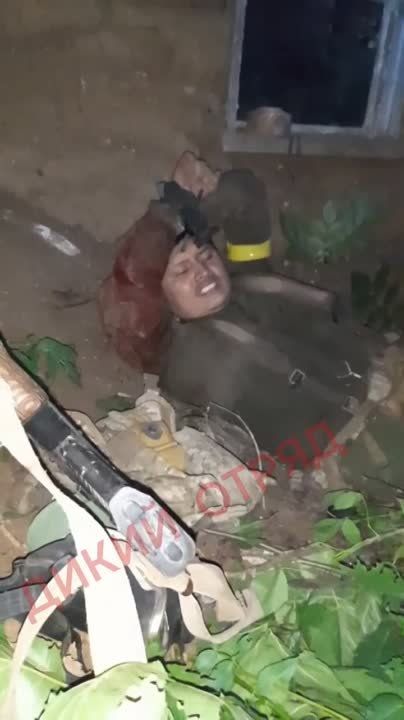 ������� �� ������� ���� � ���� ������ �������