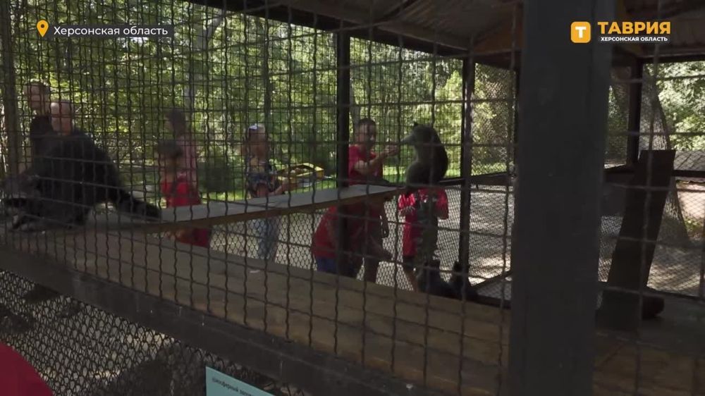 � ����� ��� ������ ���������� "�������-����" �������� ����� "������� ��������� �����"