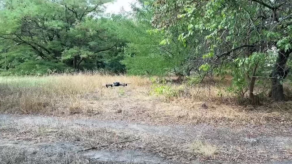 �������� ������: ��������� ������ ����������� ����� ������ ���������� ��� ������ ���������� ���� ���������� � ����� �����������