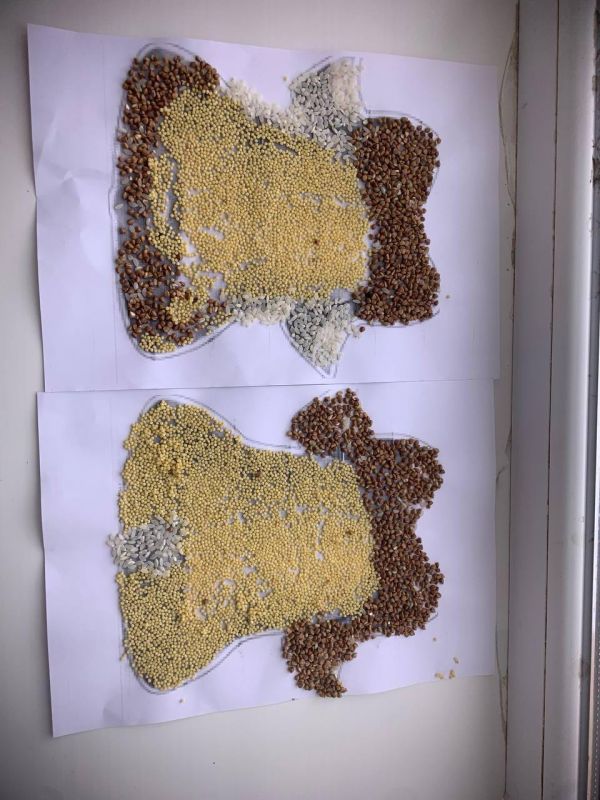 ������ ���� � ���������� �����