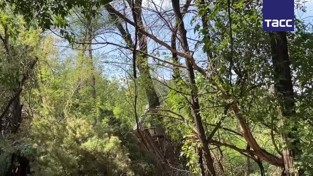 ��� ��� ������ � ��������� �������� �� ������������ ������ � ���������� ������� ���� ���������� ����� ���