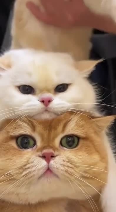 ���� ��������� ������!