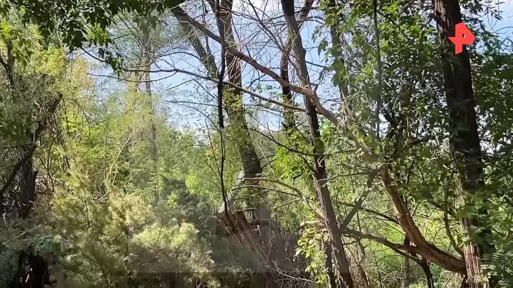 ���������� ����� ���������� ���������� ������ ��� � ���������� �������