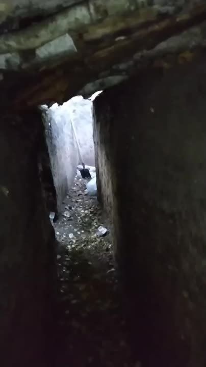 � ������� ������� ����� �� ��������� ��� � �����, ������� � �������� ����� ���� ���� ���� � ����������� ���, ���������� ���������� �������������� � ������������ ������ �� �������